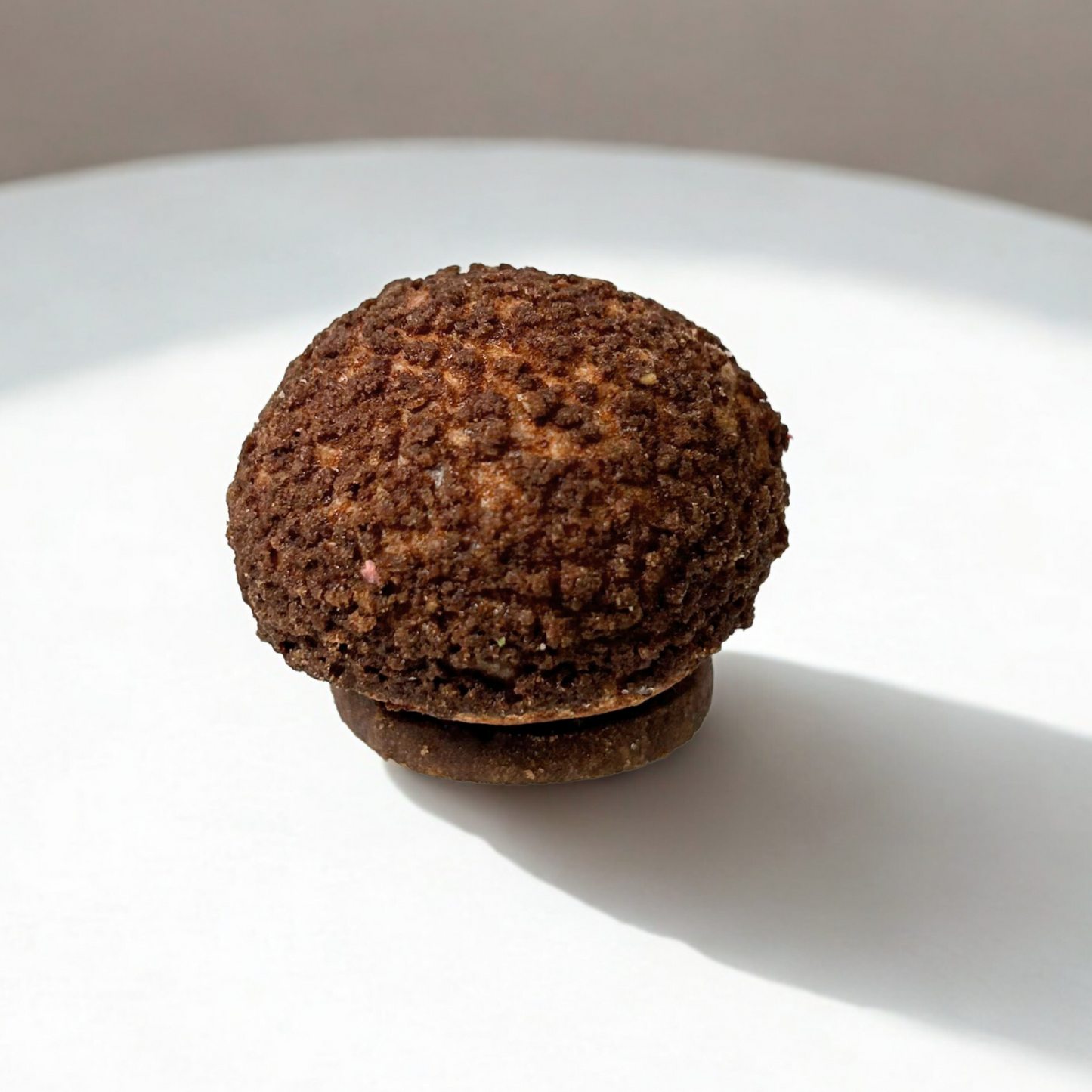 Frozen Hazelnut Chocolate Praline Choux Puff